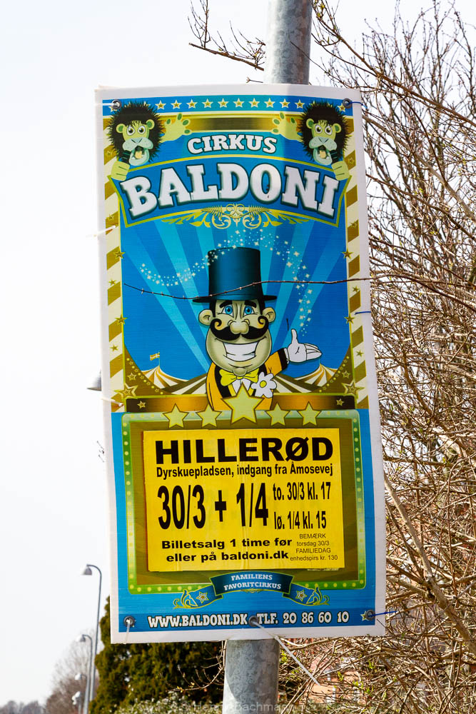 Cirkus Baldoni_7955