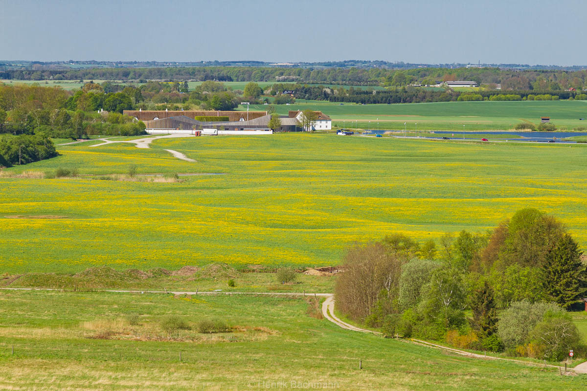 Favrholm Mark - Sygehusgrund_4985