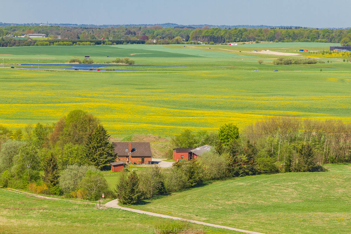 Favrholm Mark - Sygehusgrund_4986